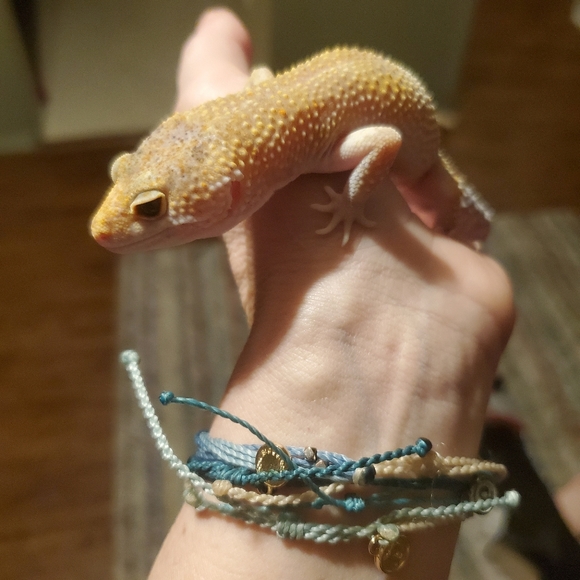 Meet your Posher, Christina - Picture 7 of 16